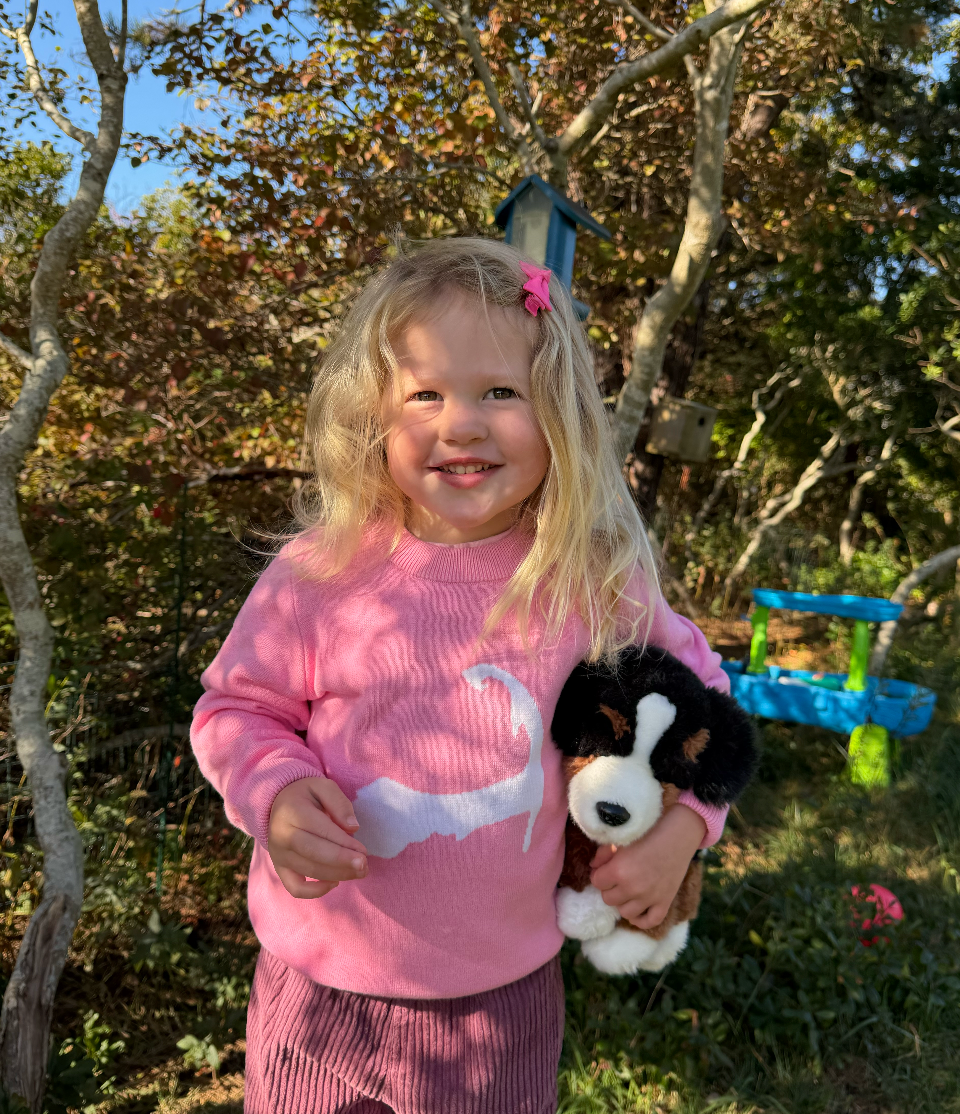 Pink Cape Cod Cotton Crewneck Kids Sweater