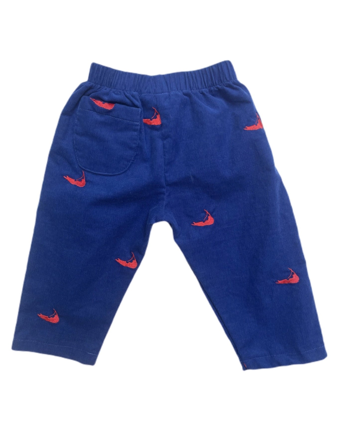 Navy Corduroy Red Embroidered Nantuckets Pants