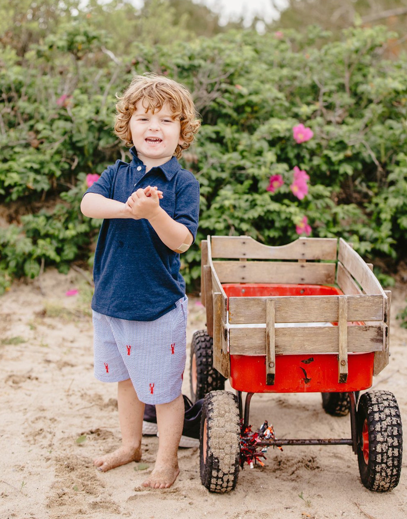 Blue Seersucker Kids Shorts with Red Embroidered Red Lobsters