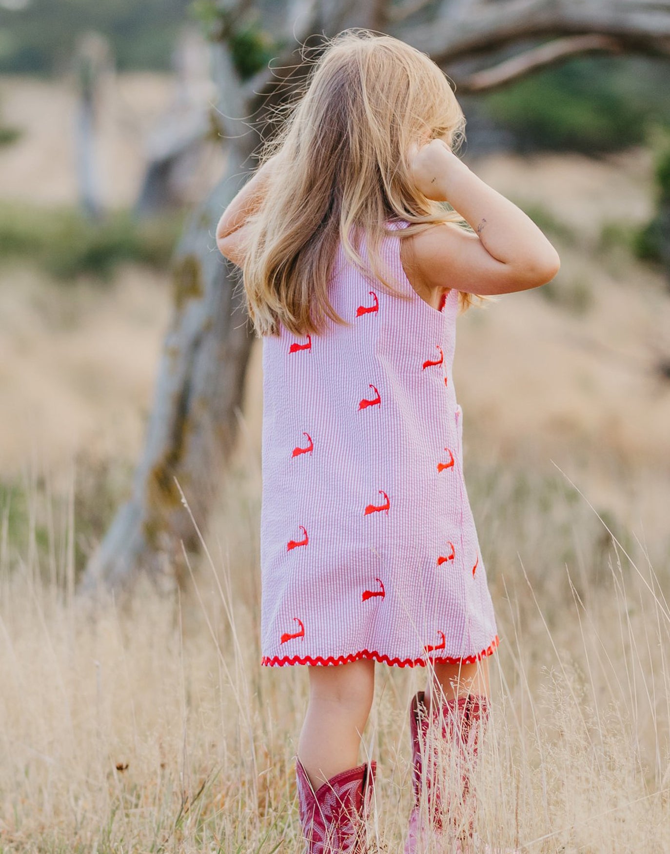 Pink Seersucker Dress with Pink Embroidered Cape Cods
