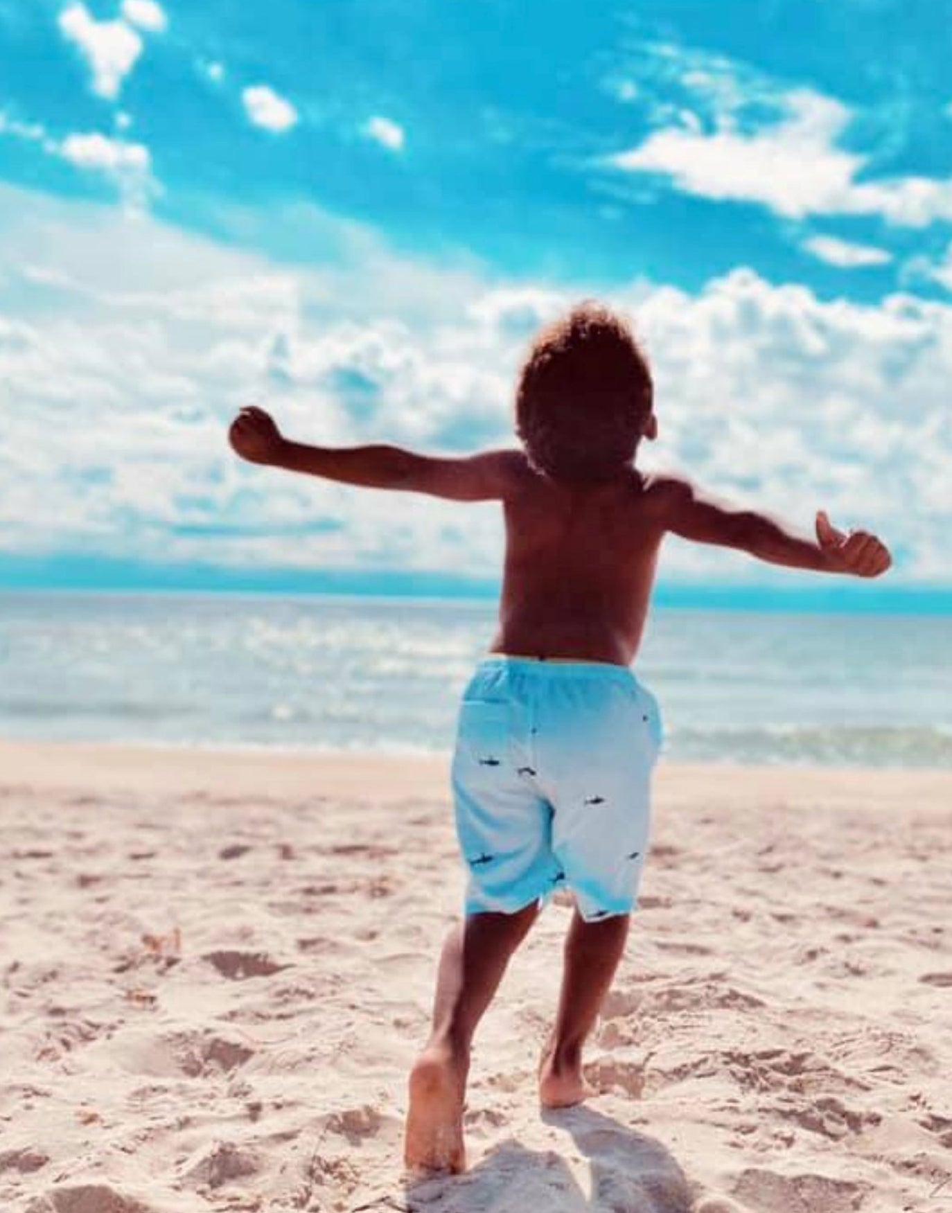 Kids Turquoise Seersucker Shorts with Navy Embroidered Sharks