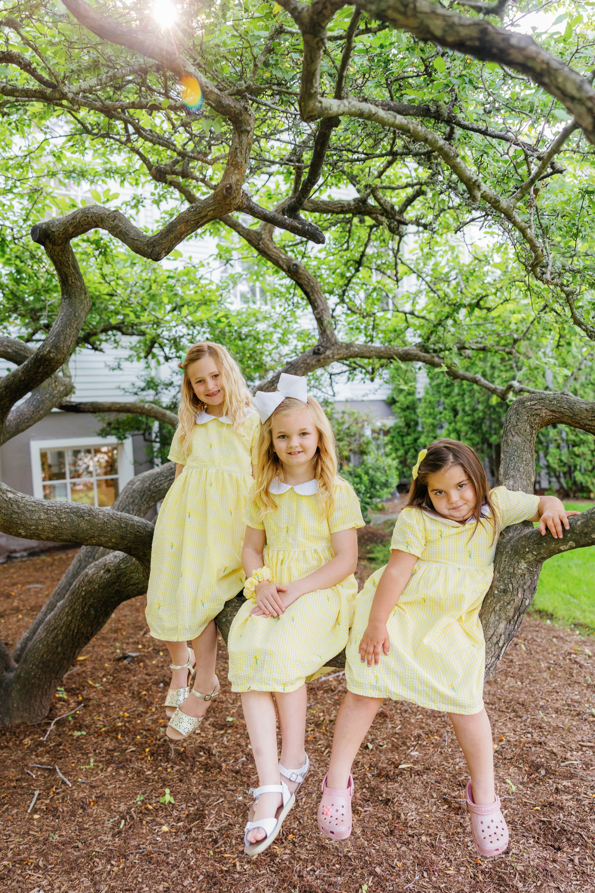 Yellow Gingham Seersucker Girls Dress with Embroidered Daffodils and Peter Pan Collar