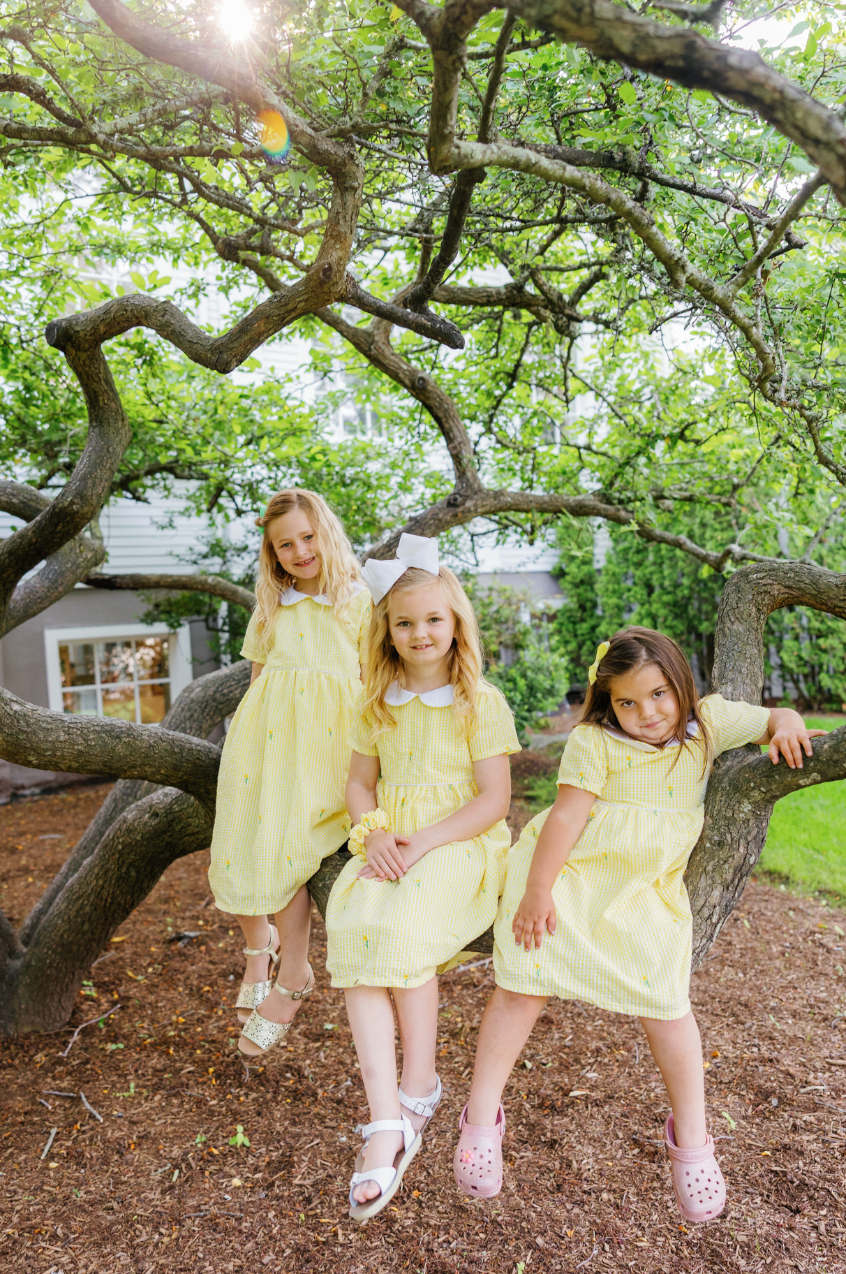 Yellow Gingham Daffodil Dress with Peter Pan Collar