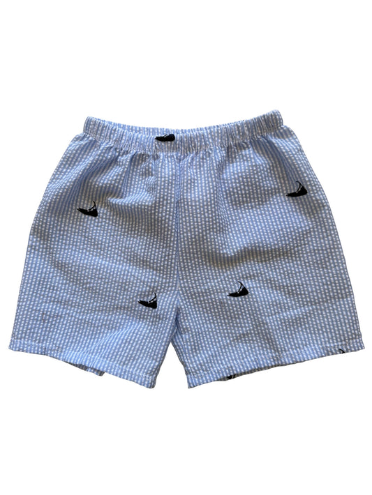 Light Blue Seersucker Shorts with Navy Nantucket