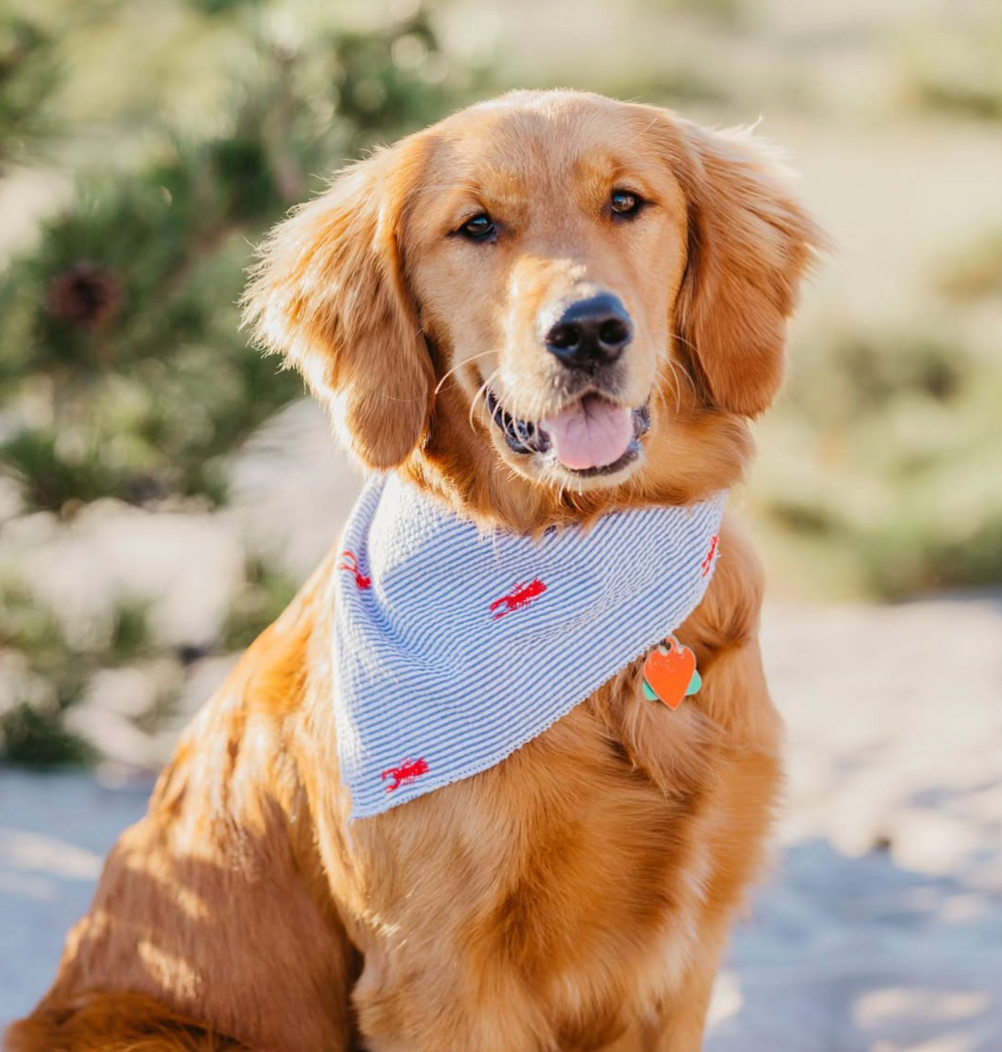 Custom Embroidered Seersucker Logo Dog Bandanas
