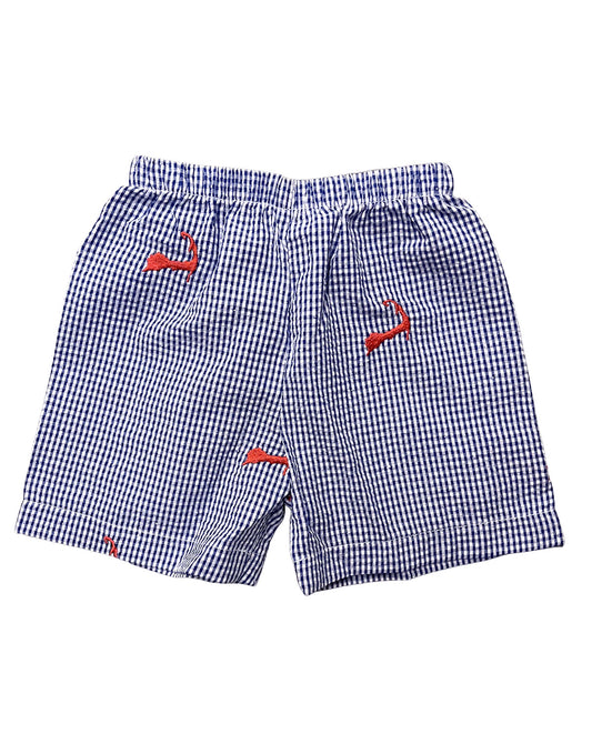 Blue Gingham Seersucker Shorts with Navy Embroidered Cape Cods