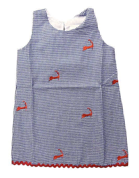 Blue Gingham Seersucker Girls Dress with Red Cape Cods