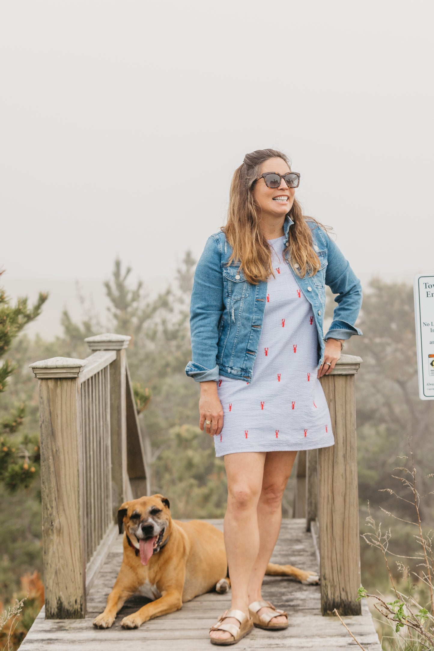 Blue Women's Seersucker Dress with Red Embroidered Lobsters