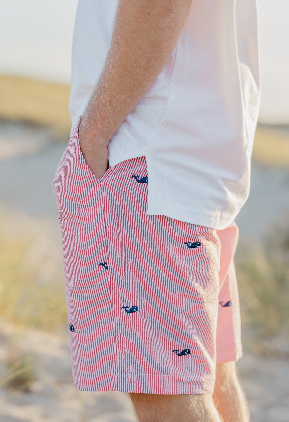 Red Mens Seersucker Shorts with Navy Embroidered Whales